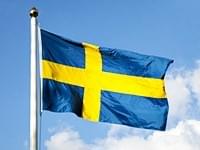 S.P.A.R.K.s in Swedish