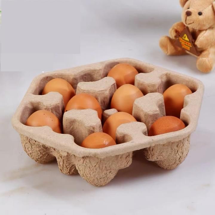 Egg Trays / Peat Pots - Manufacturer and Supplier of 100% biodegradable