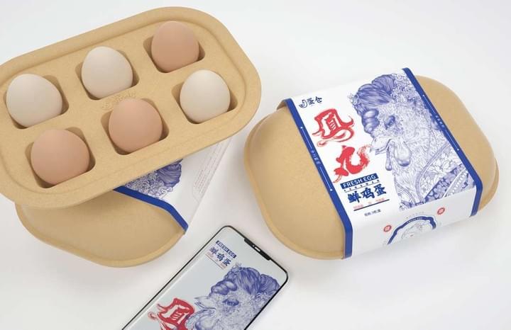 Egg Trays / Peat Pots - Manufacturer and Supplier of 100% biodegradable