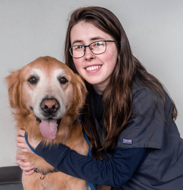 Town & Country Veterinary Hospital in Media & Aston & Delaware County, PA