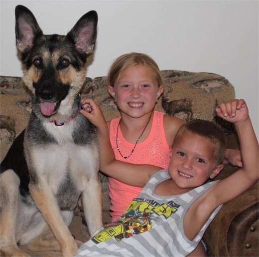 Brook Trout Dental Site