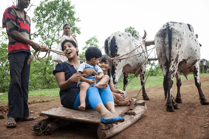 Picture Credit - Vidhi Thakur