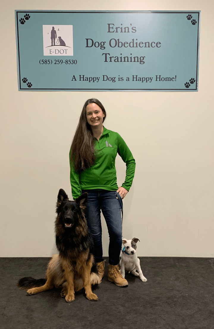 E dot dog training clearance