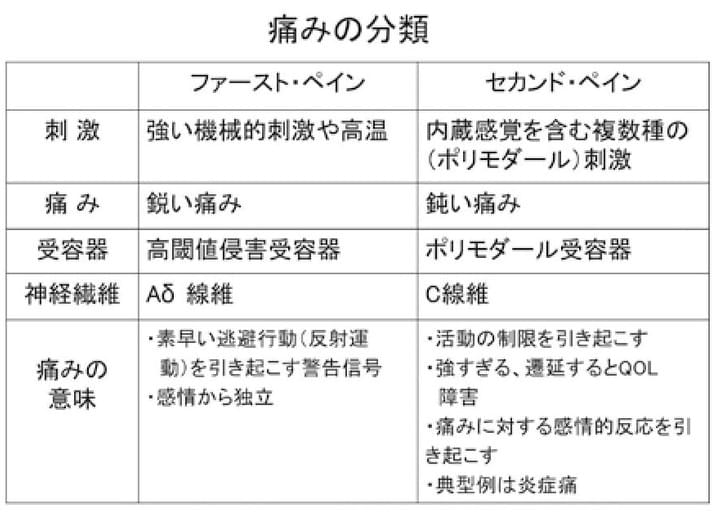 口腔と全身part 2