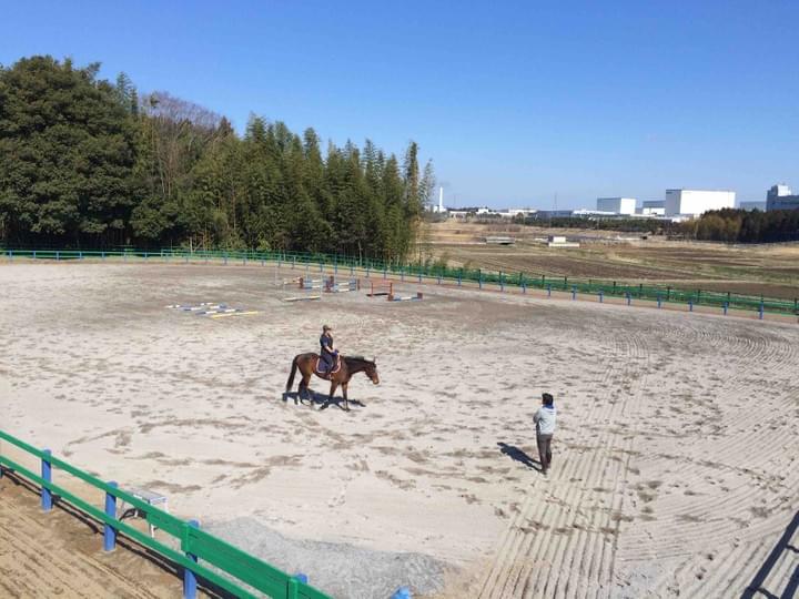 Stable Amiest On Strikingly