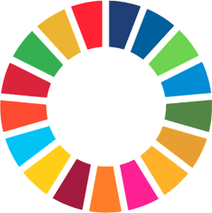 Kaamos Sdg Solutions Thanks to everybody who participated in the video! kaamos sdg solutions