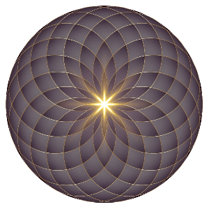 quantum 360 healing center