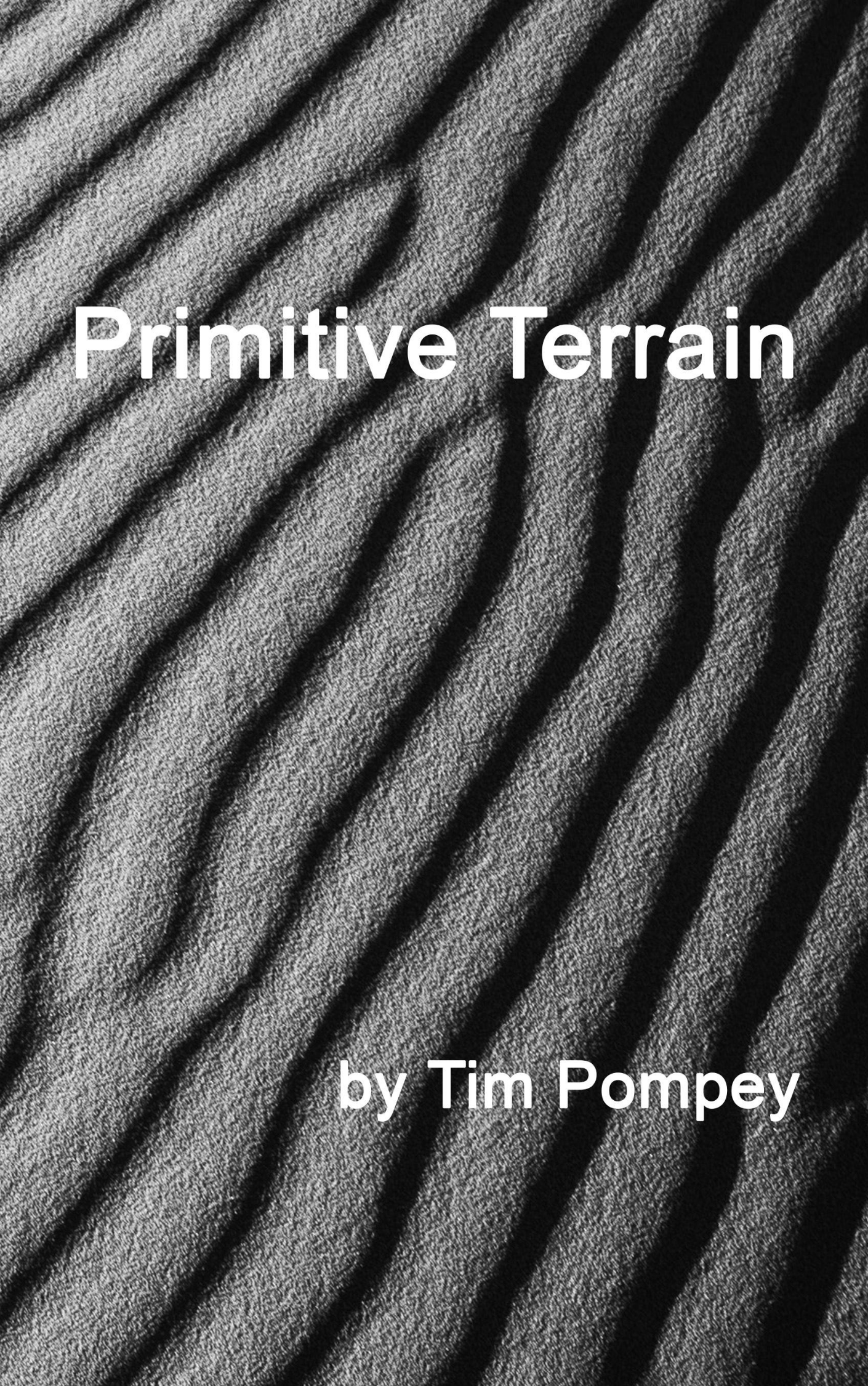 Primitive Terrain (eBook)