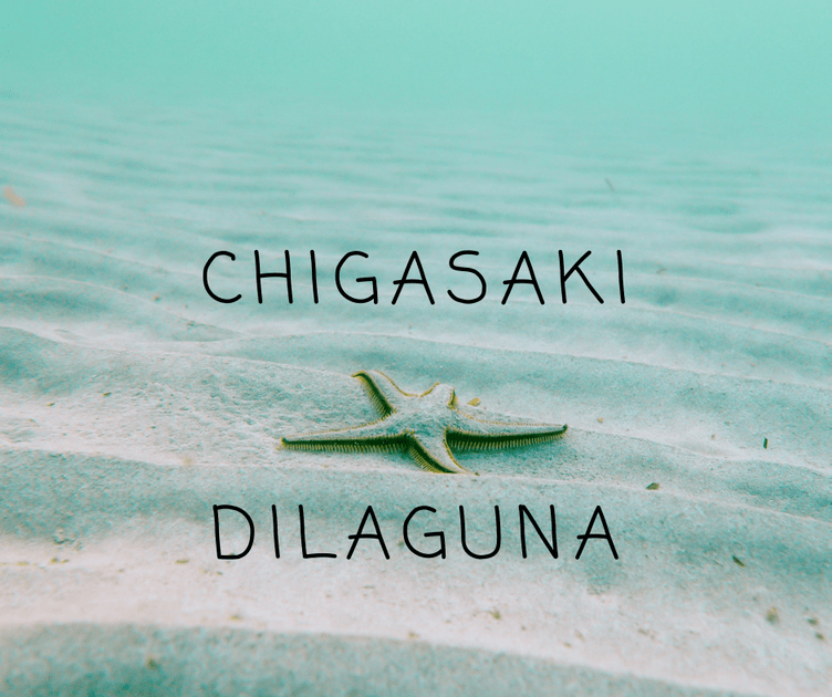 www dilaguna333 com