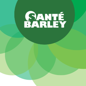 barley logo png