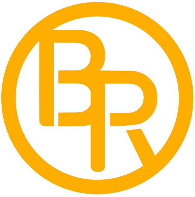 Brass Ring Solutions