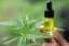 nordic-oil-cbd-de.mystrikingly.com