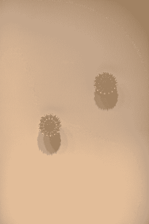 broken image