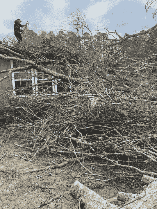 Professional brush removal Northern Michigan