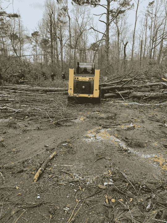 Expert Brush Removal Traverse City
