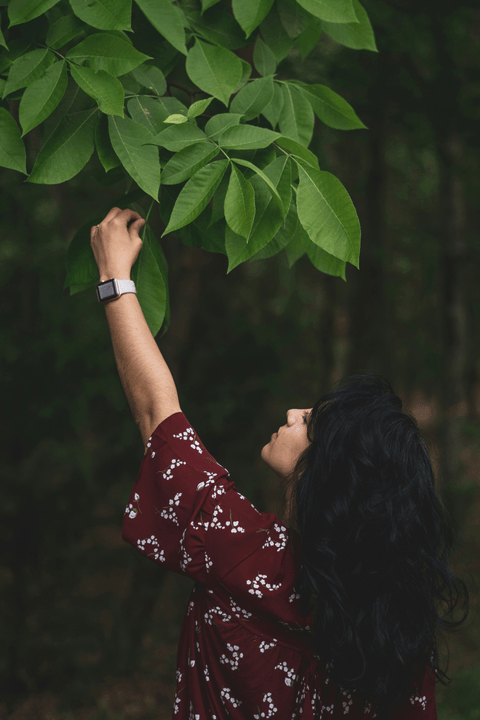 — Meera Singh, Ecologist “The native trees planted by Plant Native Trees are helping bring back local wildlife and improve the health of our environment.” Our supporters and partners have helped us plant over 3,000 native trees across India 🌳 Plant Native Trees
Native trees, local hands — one tree at a time
We began at Prrana Farm in Alibaug, coastal Maharashtra, planting Banyan, Pimpal, Mahua, Desi Badam, Haldu, and native Ficus varieties. These are not ornamental plantings. These are keystone species — some of them endangered — that once defined the landscapes of this land.
But this is just the beginning.

🎯 Our Goal
10,000 trees over the next 5 years — starting in coastal Maharashtra and expanding across India, region by region.
As these trees mature over decades, they will sequester thousands of tons of CO₂, cool the land, enrich the soil, and bring back the birds, insects and wildlife that belong here.

🤝 How We Work
We plant on roadsides, government land, forest land, and private farmland.
Where we work with farmers, our exchange is simple — for every native tree they allow us to plant on their land, we give them one fruit tree in return. The farmer gains. The land gains. Everyone wins.