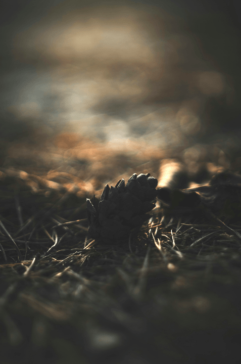  — Olena Shevchenko “The blacksmithing skills displayed by The Ukrainian Viking are extraordinary. My custom piece is a true work of art.”  Our craftsmanship has delighted countless customers with unique, personalized creations. The Ukrainian Viking offers custom laser engraving, leatherwork, and blacksmithing along with sublimation services. 

would like a site that has an contact portion, gallery and bio page