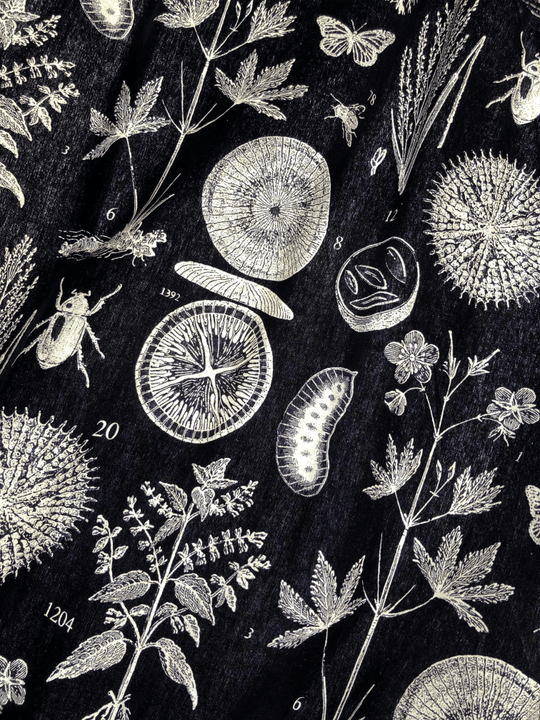 Our lesson plans are meticulously crafted to align with IB curriculum standards, ensuring an engaging classroom experience. Engaging Lesson Plans What We Offer Sell Plan IB Science Lessons and Teaching Resources.