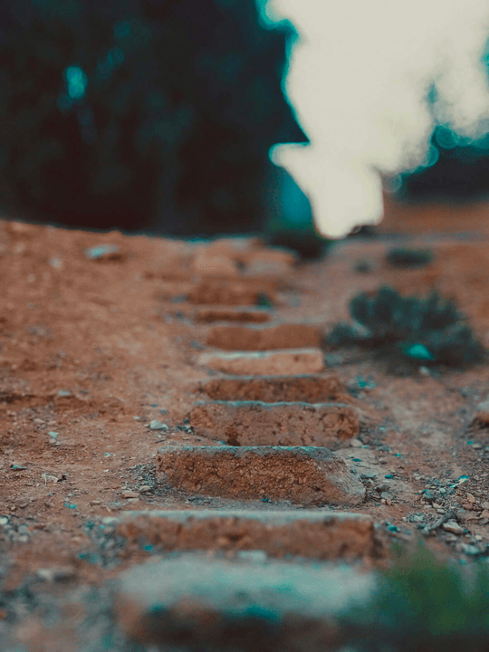 Experience a unique blend of physical activity and spiritual enrichment. Each mile you walk serves as a step closer to God, fostering a deeper connection with your faith and allowing you to reflect on His love and guidance in your life. Spiritual Growth What We Do It is a virtual community challenge designed to strengthen both your faith and your health. Together, to commit to walking a total of 40 miles over 40 days—one intentional mile at a time—as drawing closer to the Lord.

This is more than just a fitness goal—it’s a spiritual journey. Each step is a reminder of God’s goodness, a moment to invite the Holy Spirit, and an opportunity to reflect on His Word. Along the way, you’ll be encouraged through daily faith reflections, scripture, and community support, so you never walk alone.