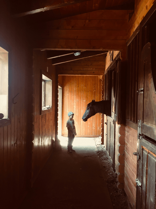 Our therapy sessions are tailored to meet the unique needs of each child, addressing various challenges such as anxiety, autism, and behavioral issues. The calming presence of horses can significantly reduce stress levels, promote emotional regulation, and enhance overall well-being, making our programs a vital resource for families seeking support. Therapeutic Benefits What We Do equine therapy for children