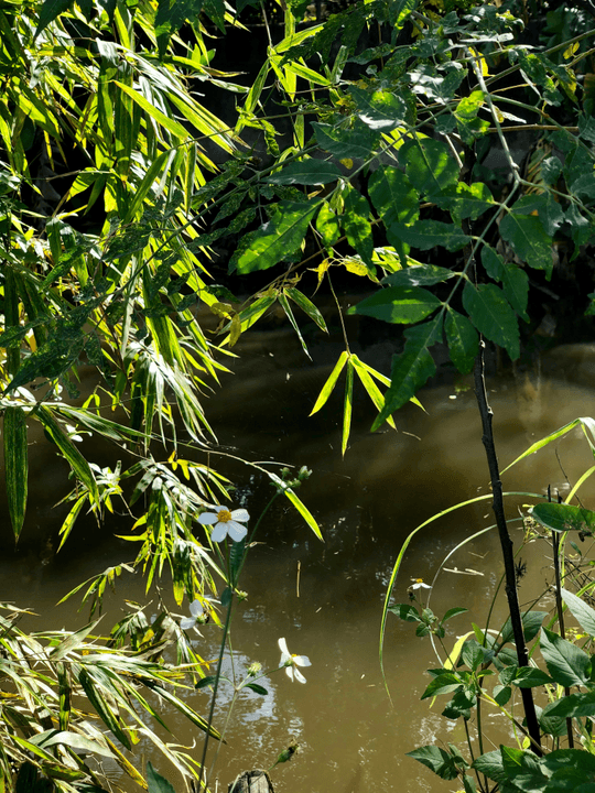 Access a variety of assessment tools to evaluate student progress and ensure mastery of IB Science topics. Assessment Tools What We Offer Sell Plan IB Science Lessons and Teaching Resources.