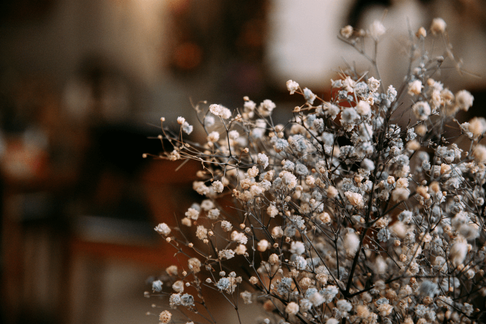 Everbefloral specializes in high-quality preserved flowers for various occasions.