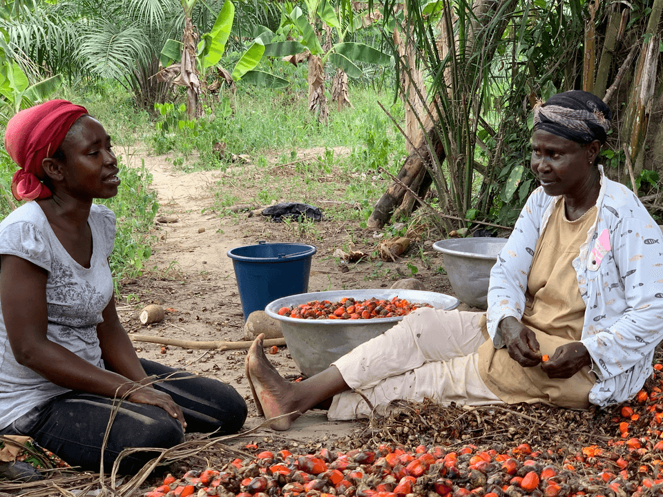 Discover our quality agri-food products! Join our cooperative We do production, collection, storage, transformation and marketing of products including coffee, cocoa, rubber, palm, food crops, livestock products and other agricultural products of the members.