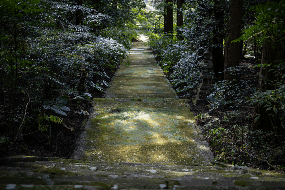 Knowing the way forward