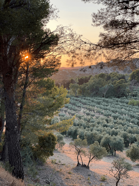 Our innovative marketing solutions enhance your brand visibility and engagement, connecting you with your target audience effectively. Marketing Solutions What We Offer TRADING, SELLING, MARKETING, CONTRACT