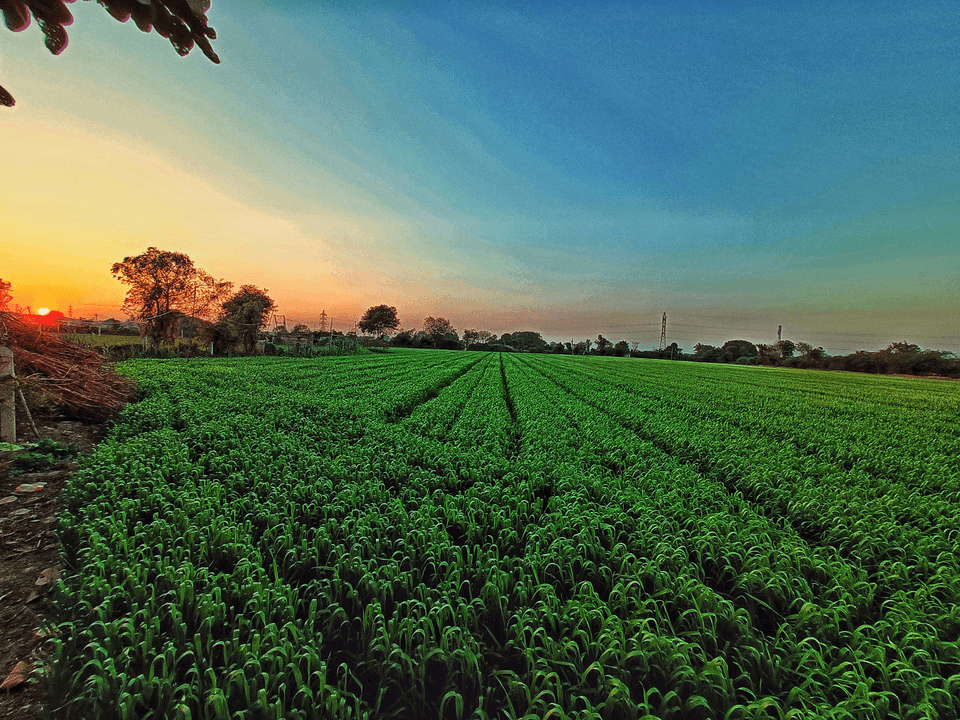 Since 1986, with an ethical, environmentally conscious, proactive, and sustainability-focused approach, we have been creating added value for our country through our impactful investments in food, electricity distribution, renewable energy, technology, and venture capital.With more than 20 subsidiaries and over 10,000 employees, we are among the leading group companies in our country.