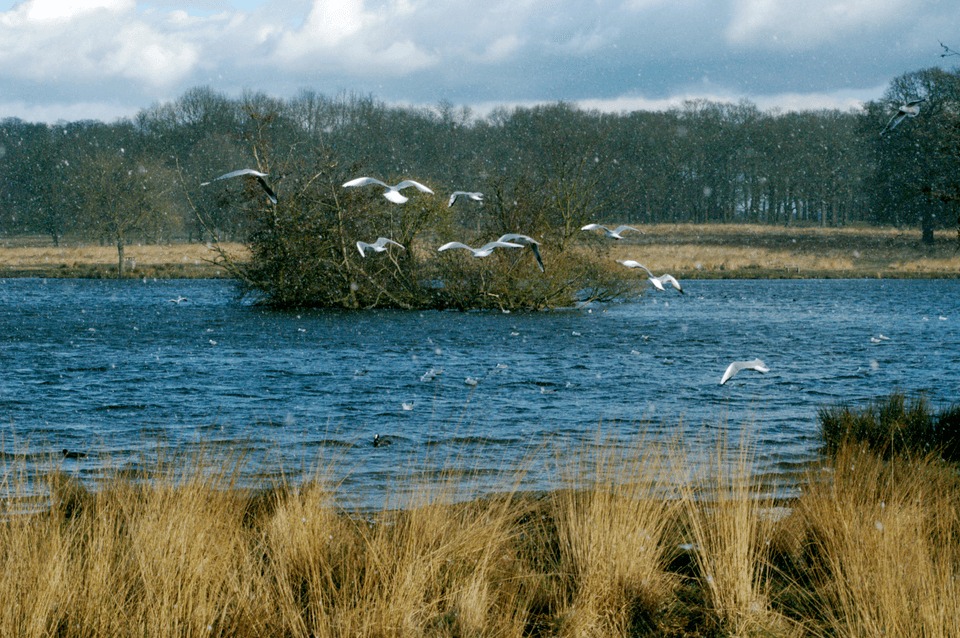 Guided birding tour in iSimangaliso Wetland Park with diverse wetland birdlife