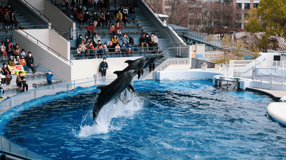 Dubai indoor summer activities