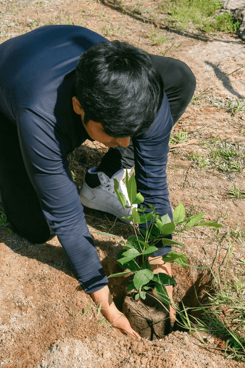 — Arun Deshmukh, Farmer “Partnering with Plant Native Trees has been a rewarding experience. They work transparently and truly care about the land and communities.” Our supporters and partners have helped us plant over 3,000 native trees across India 🌳 Plant Native Trees
Native trees, local hands — one tree at a time
We began at Prrana Farm in Alibaug, coastal Maharashtra, planting Banyan, Pimpal, Mahua, Desi Badam, Haldu, and native Ficus varieties. These are not ornamental plantings. These are keystone species — some of them endangered — that once defined the landscapes of this land.
But this is just the beginning.

🎯 Our Goal
10,000 trees over the next 5 years — starting in coastal Maharashtra and expanding across India, region by region.
As these trees mature over decades, they will sequester thousands of tons of CO₂, cool the land, enrich the soil, and bring back the birds, insects and wildlife that belong here.

🤝 How We Work
We plant on roadsides, government land, forest land, and private farmland.
Where we work with farmers, our exchange is simple — for every native tree they allow us to plant on their land, we give them one fruit tree in return. The farmer gains. The land gains. Everyone wins.