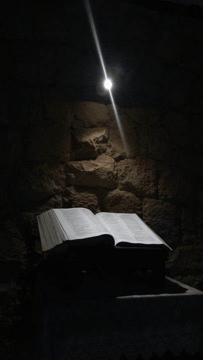 We publish works that provoke discussion and inspire change, encouraging readers to see the world differently. Thought Leadership What We Do Cave Light Publishing is an independent press dedicated to clear, compelling books that challenge perception and sharpen thought. Most of our titles—whether fiction, nonfiction, or somewhere in between—are concise enough to finish on a flight from NYC to L.A., yet deep enough to shift how you see the world.