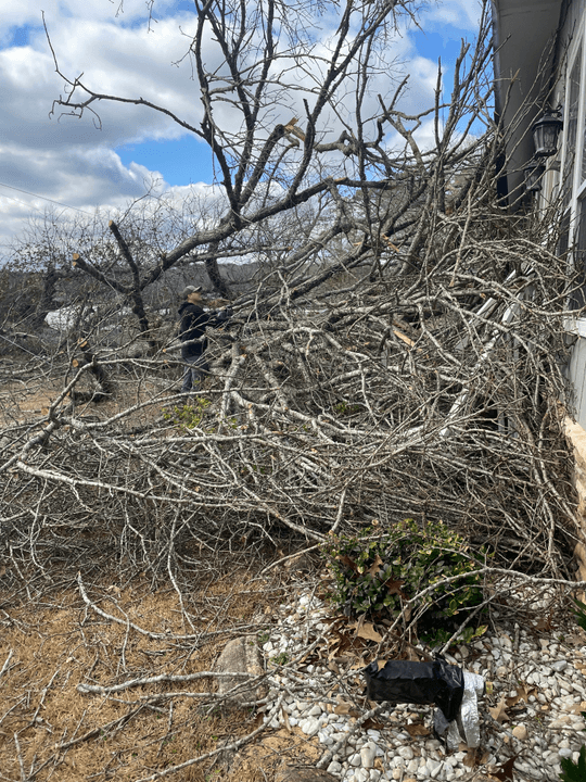 Emergency Brush Removal Experts