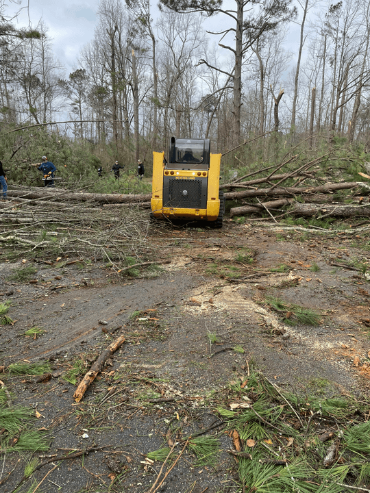 Expert Brush Removal Traverse City