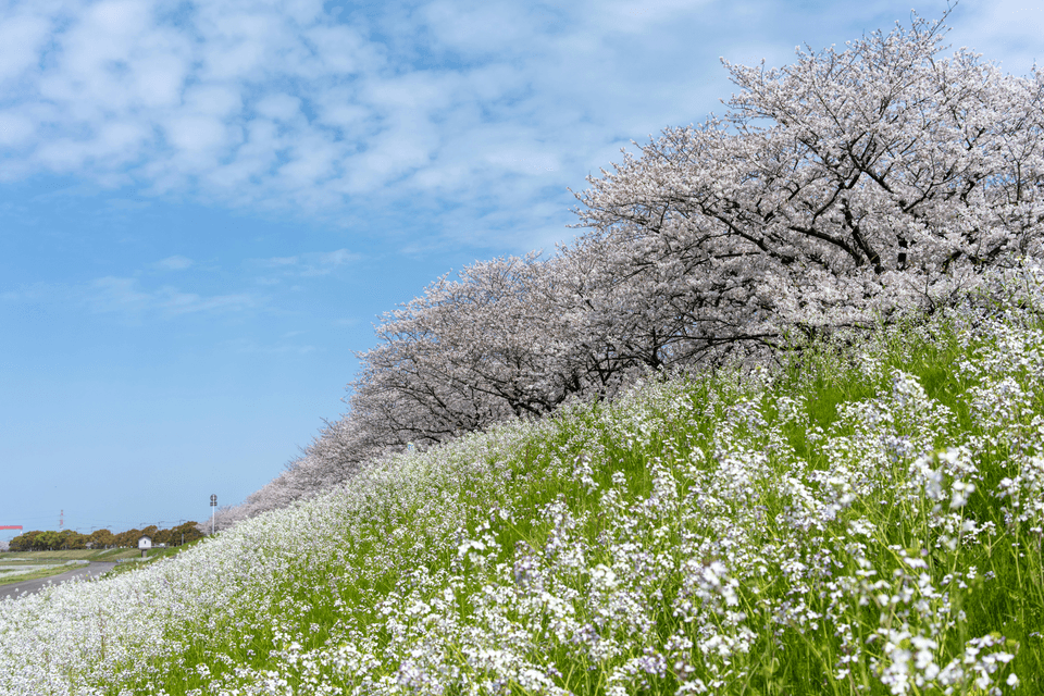 A candid photo capturing a serendipitous first meeting.