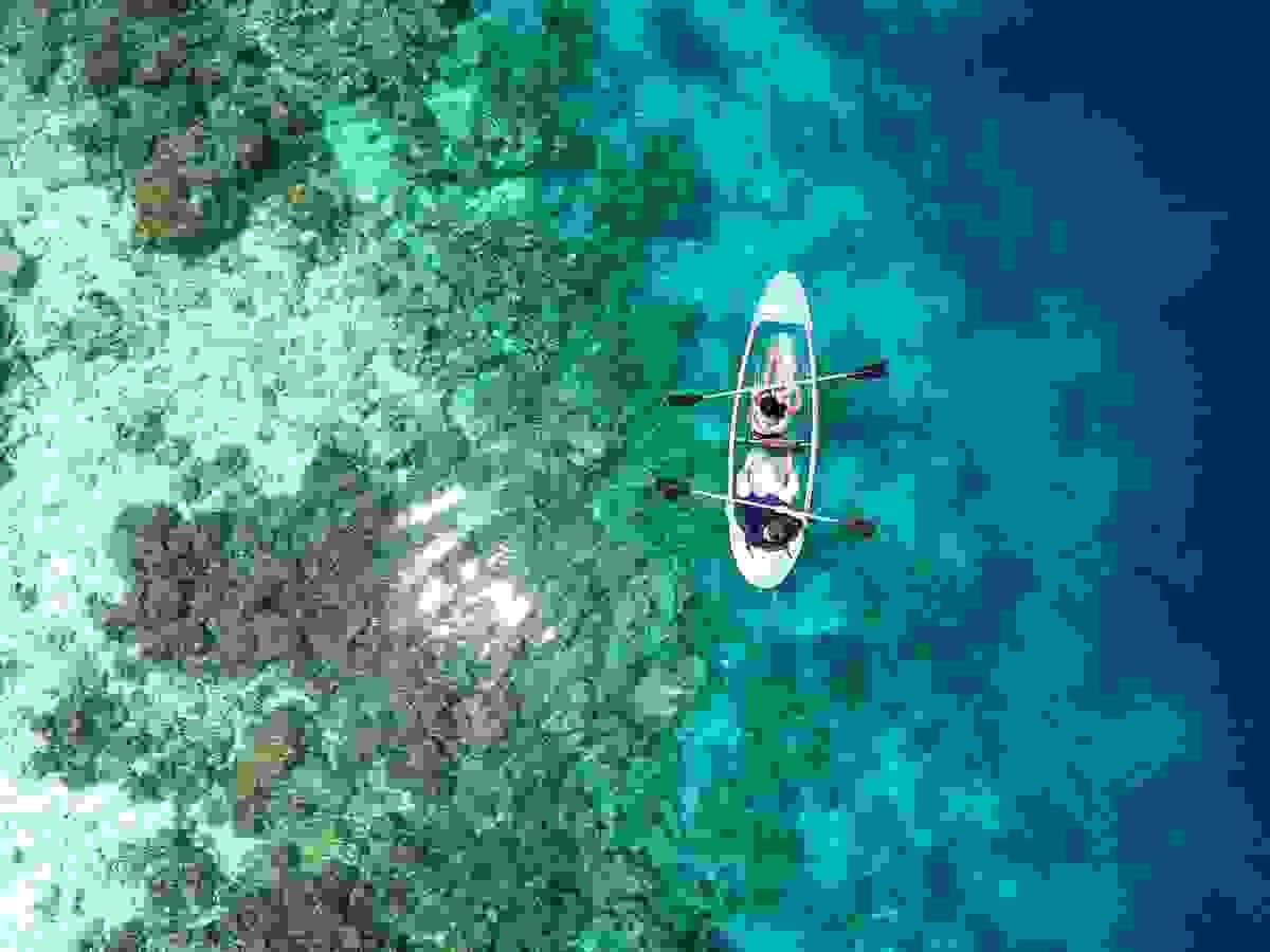 Section image
