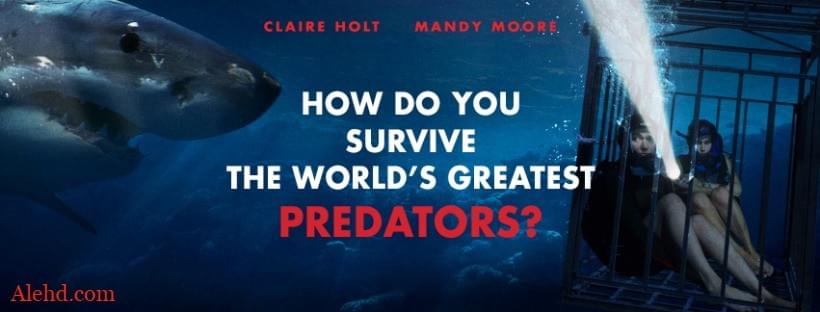 123movies 47 Meters Down 2 2019 Free Movies