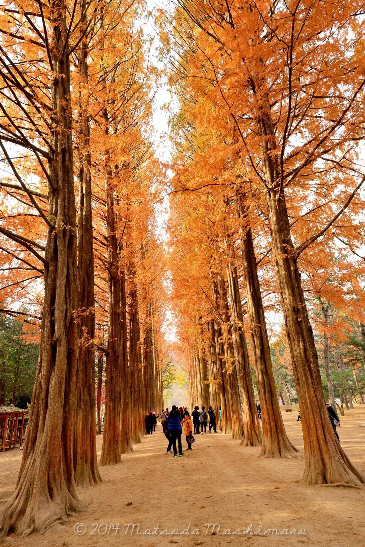 a&a home health equipment inc