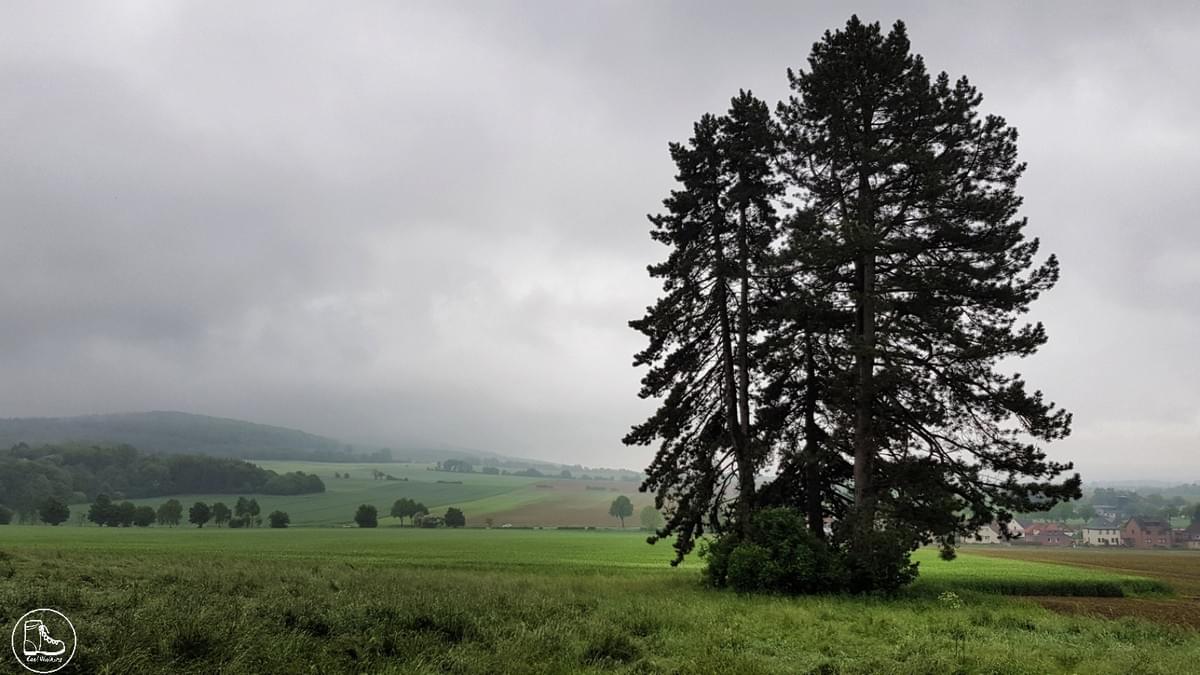 Bad Nenndorf Springe E1 2019