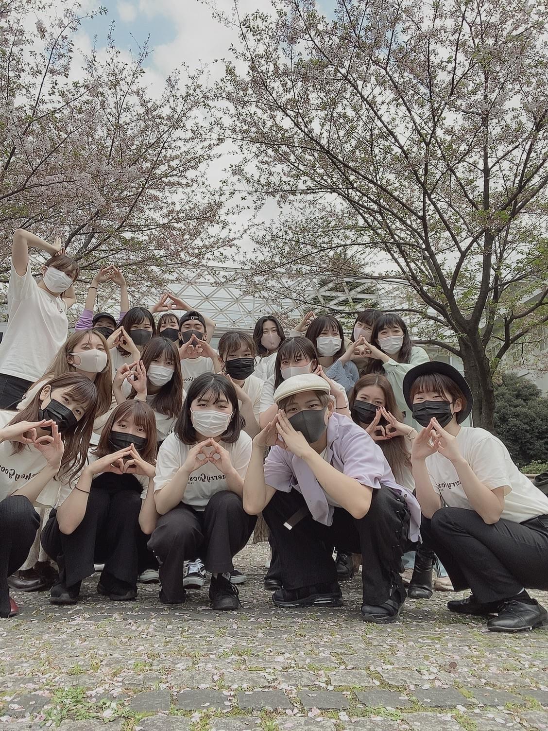 明治大学公認ダンスサークルcherry Goose On Strikingly