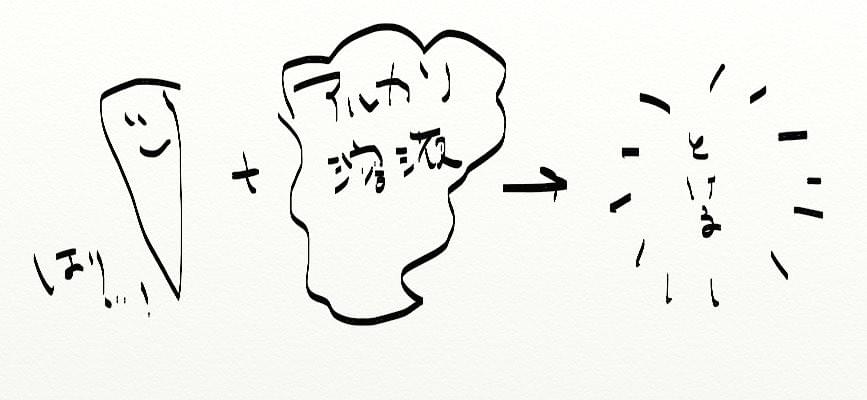 たけのこのあく抜き えぐみを感じる現象とあく抜き比較実験