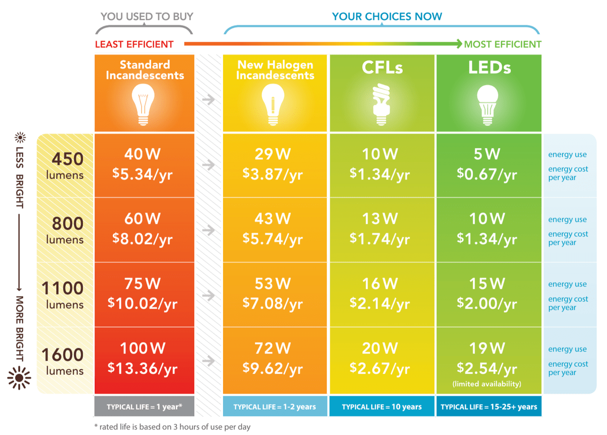 Lighting Sapling Energy Save Money. Save the