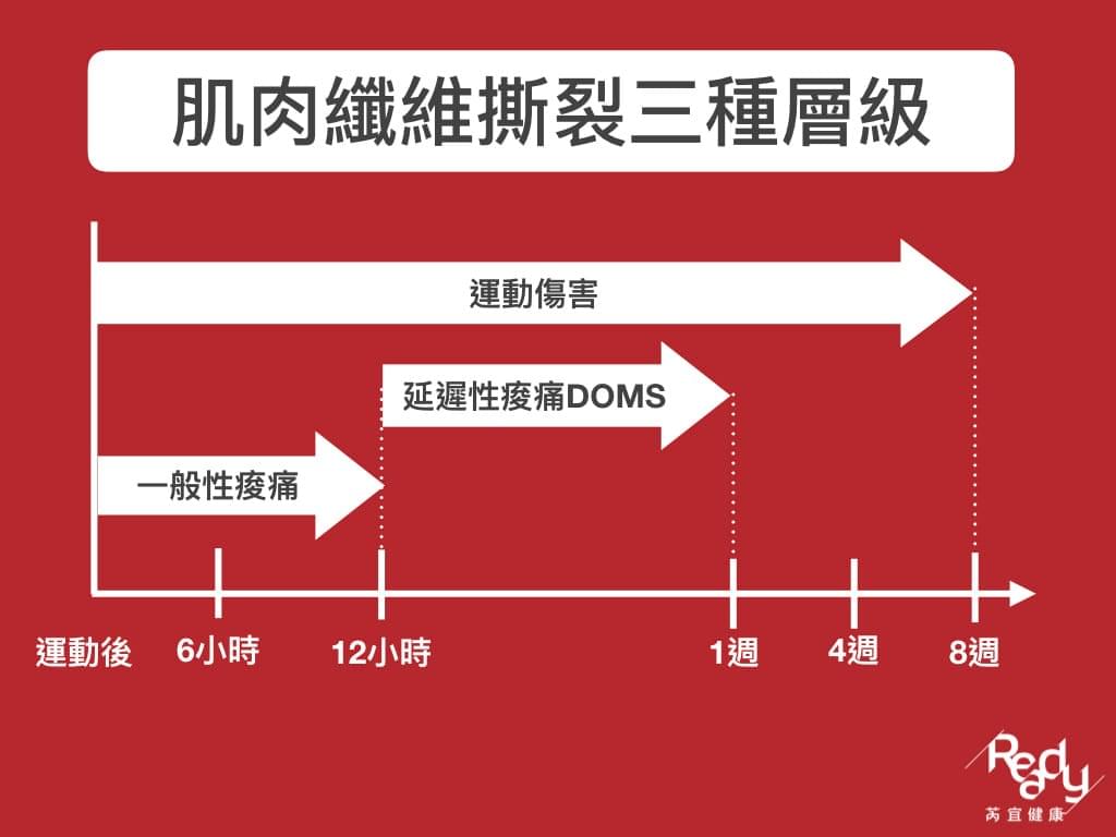害怕運動完痠痠的感覺嗎 有效運動一定要了解的四大好處 上班族中高齡肌力運動