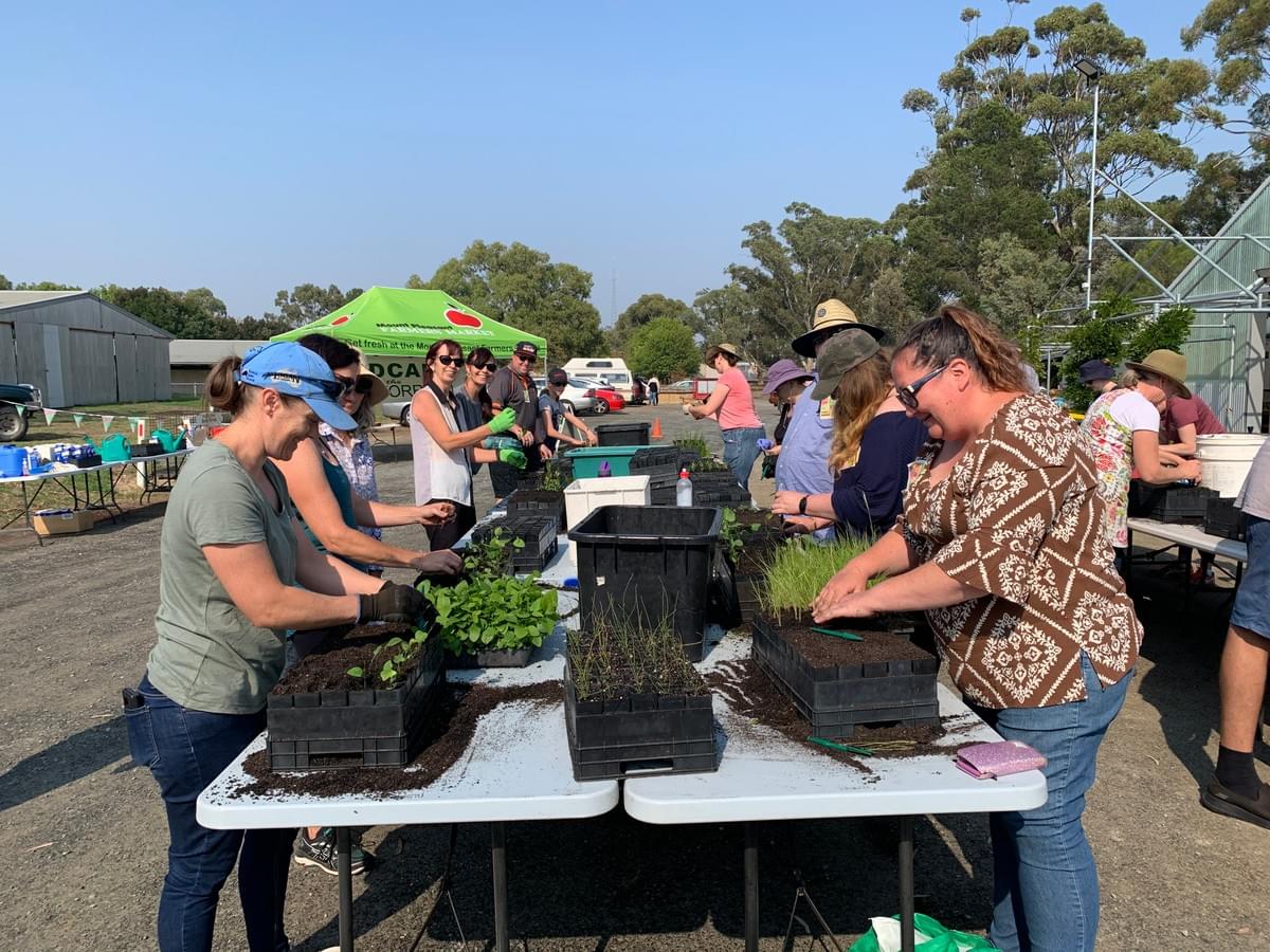 Habitat Recovery Alliance Upper River Torrens Landcare Group
