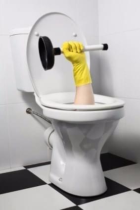 square toilet plunger