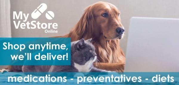 Town Country Veterinary Hospital In Media Aston Delaware County Pa Pharmacy Myvetstore Online