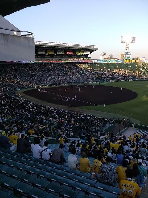 Hanshin Koshien Stadium Sightseeing