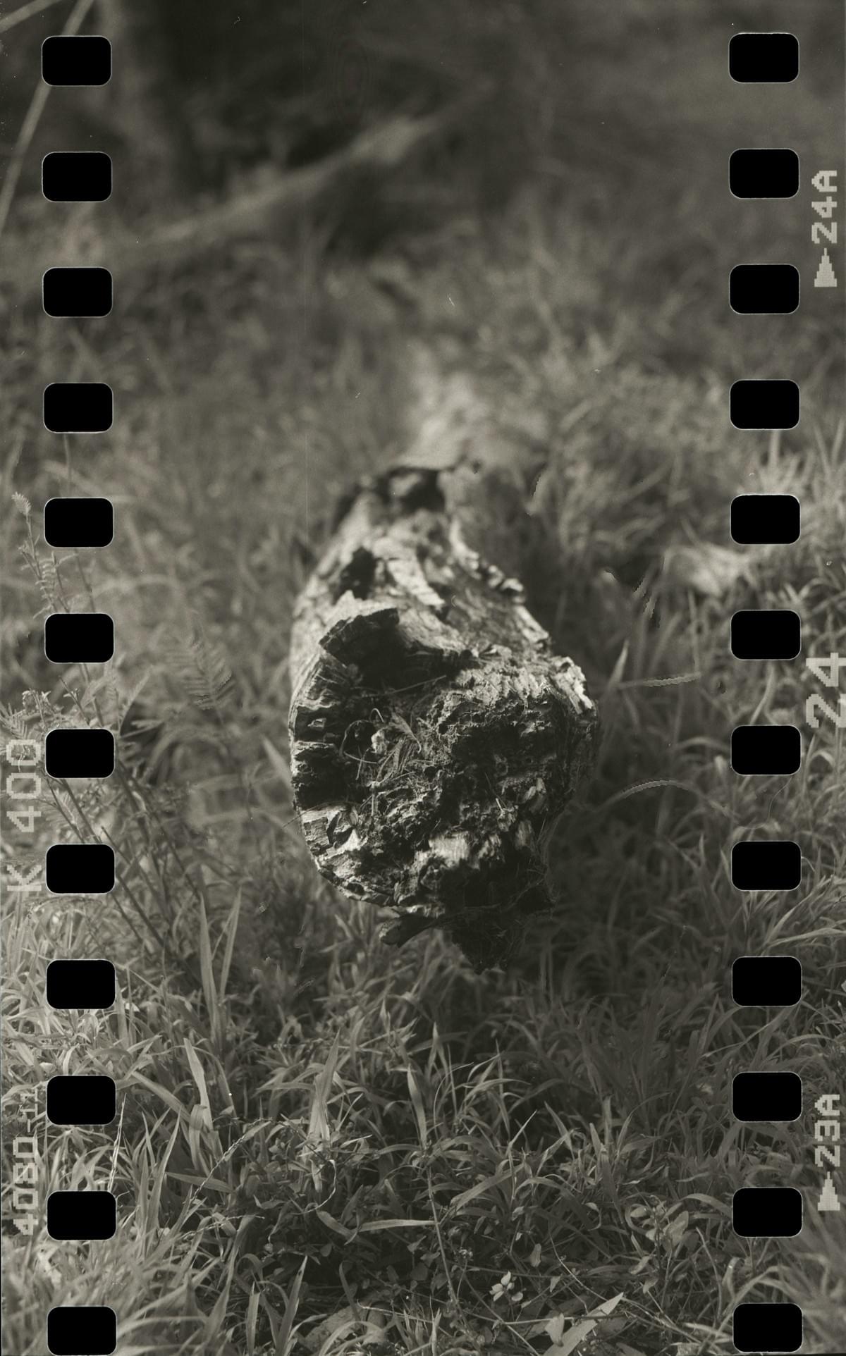 How to shoot 35mm film in a medium format camera film photography